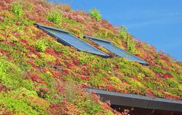 Kirby Muxloe living roof systems