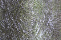 Kirby Muxloe fibreglass roof work